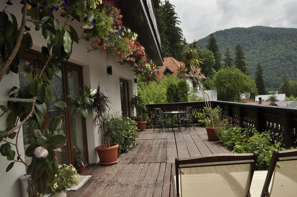 Hotel La Monitori Sinaia Habitación foto